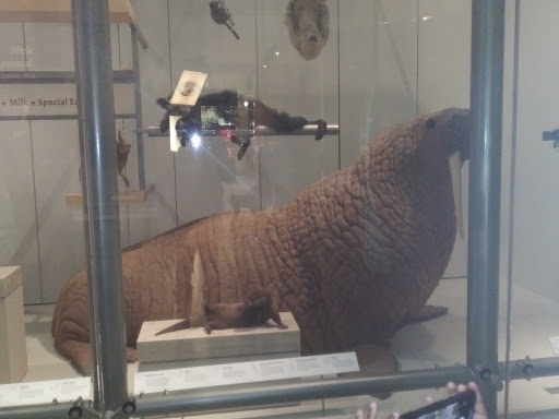 Art Museum «Hirshhorn Museum», reviews and photos, Independence Ave SW, Washington, DC 20024, USA