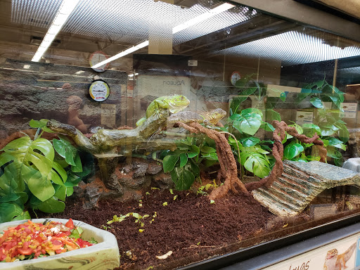 Pet Supply Store «Petco Animal Supplies», reviews and photos, 10383 Reisterstown Rd, Owings Mills, MD 21117, USA