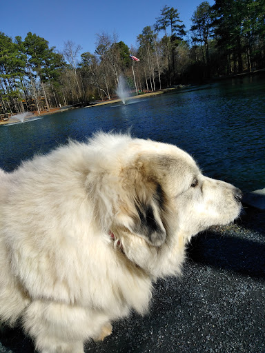 Park «Roswell Area Park», reviews and photos, 10495 Woodstock Rd, Roswell, GA 30075, USA