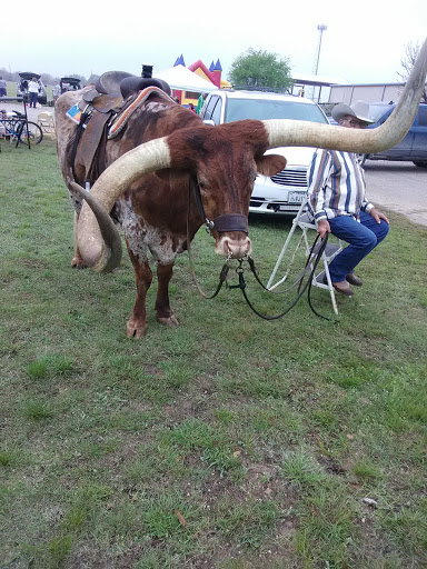 Consignment Shop «New Life Resale Shop», reviews and photos, 1990 FM1283, Pipe Creek, TX 78063, USA