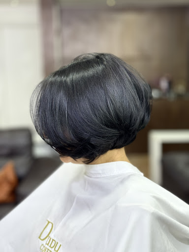 Logo da empresa - Dudu Coiffeur