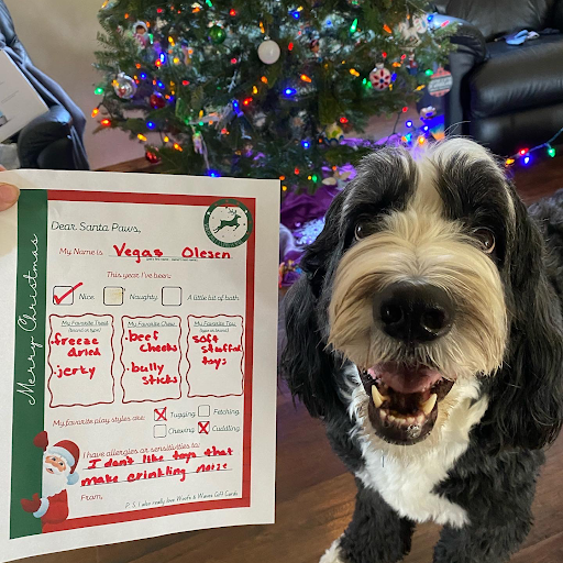 Pet Store «Woofs & Waves», reviews and photos, 5426 Arrowhead Pkwy E, Sioux Falls, SD 57110, USA