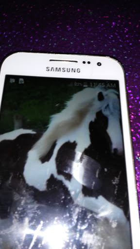 Discount Store «Dollar General», reviews and photos, 29419 State Rte 19, Atlanta, IN 46031, USA