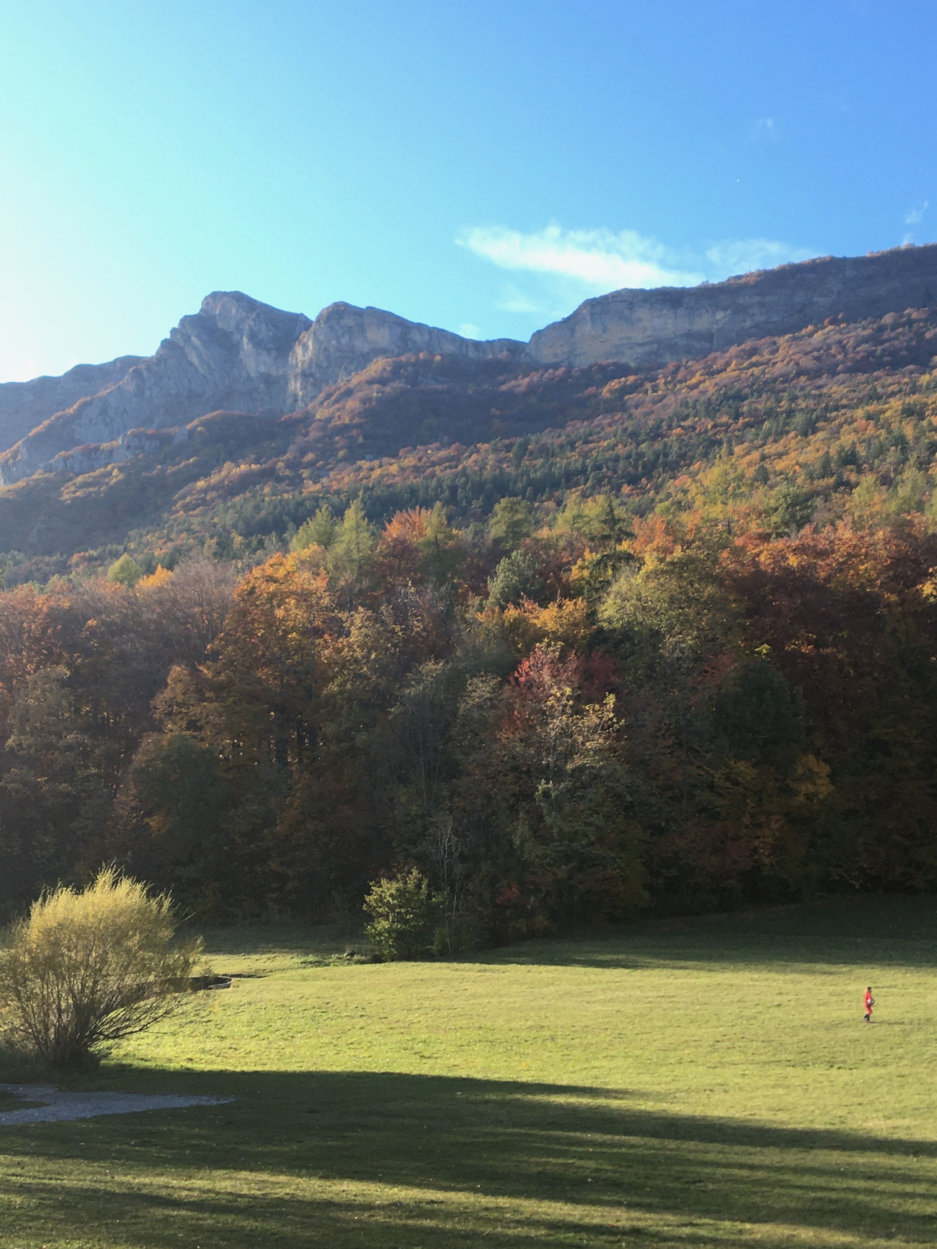 Photo n° 4 de l'avis de Jean-Paul.h fait le 03/11/2021 à 13:46