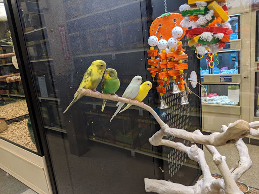 Pet Supply Store «PetSmart», reviews and photos, 144 Retail Commons Pkwy, Martinsburg, WV 25403, USA