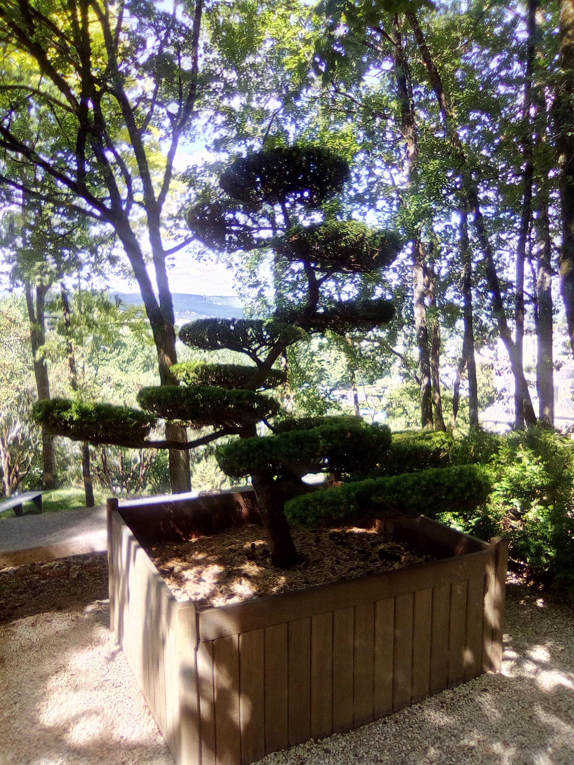 Photo n° 12 de l'avis de Danièle.c fait le 30/07/2019 à 12:17