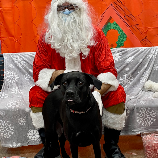 Auto Insurance Agency «State Farm: Melanie Stone», reviews and photos