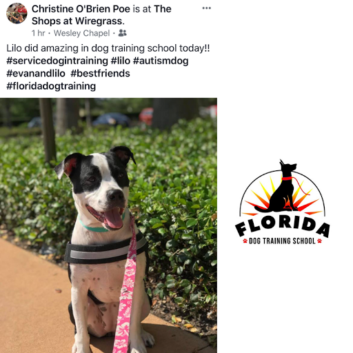 Florida Dog Training School