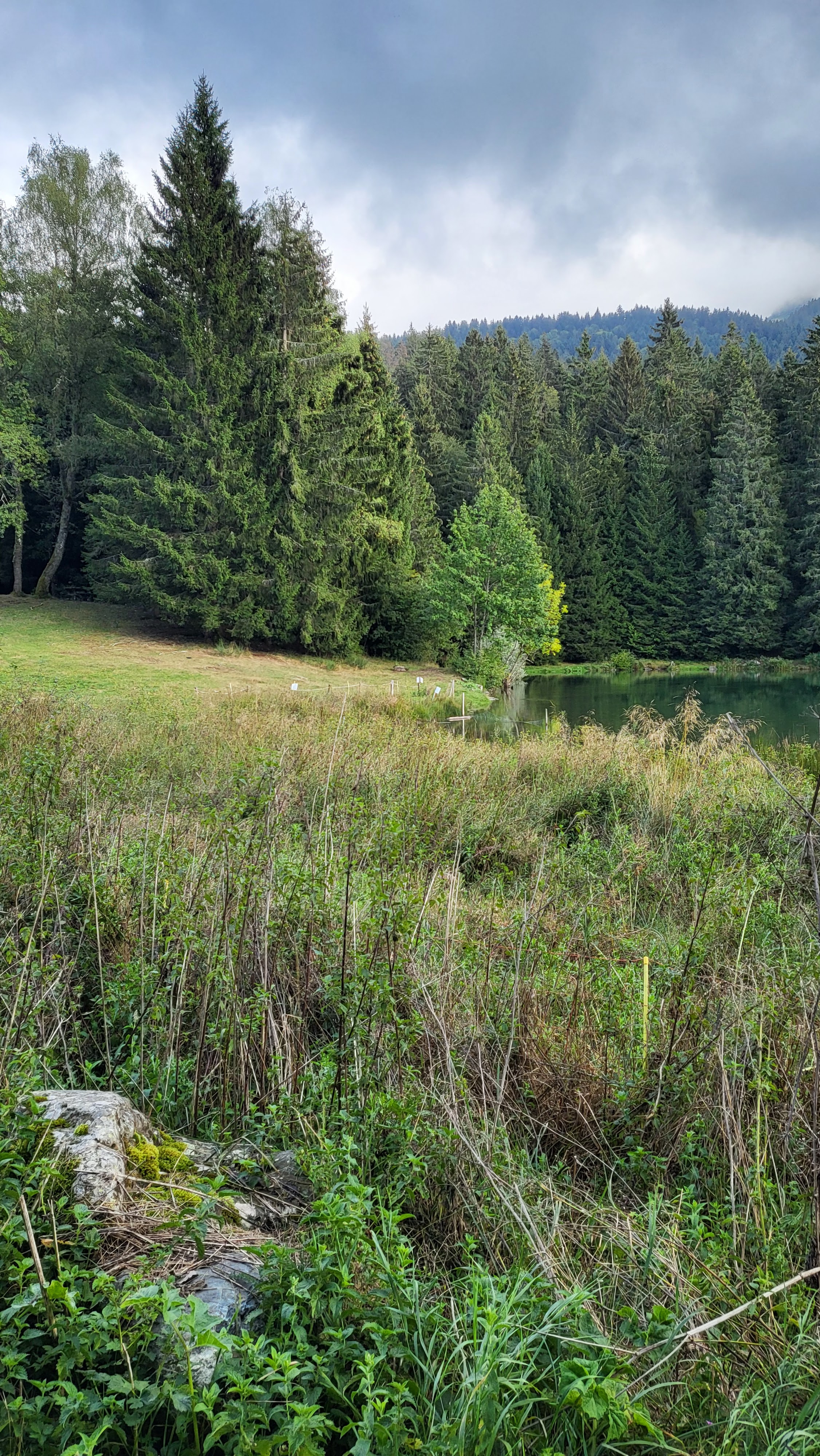 Photo n° 4 de l'avis de Clelia.a fait le 19/09/2023 à 18:22