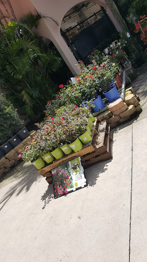 Home Improvement Store «The Home Depot», reviews and photos, 60 SW 12th Ave, Deerfield Beach, FL 33442, USA