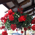 Photo n°1 de l'avis de Aleksandra.e fait le 08/08/2022 à 07:03 sur le  Gasthof & Tourismus Wutachschlucht à Bonndorf