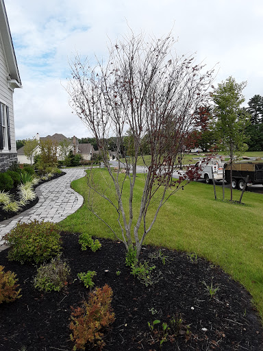 Hardware Store «Do it Best Hardware of Wayne», reviews and photos, 143 Pennsylvania Ave, Wayne, PA 19087, USA