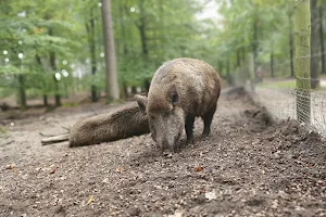 Speelweide Park Berg en Bos image