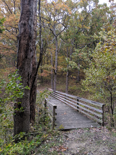 Tourist Attraction «Cordova Observation Tower», reviews and photos, 1293 Emerald Ave, Otley, IA 50214, USA