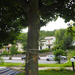 Photo n°2 de l'avis de Francesca.o fait le 22/07/2021 à 18:31 sur le  Hotel Parco delle Rose à Terme Luigiane