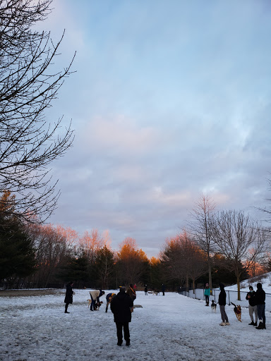 Park «Danehy Park», reviews and photos, 99 Sherman St, Cambridge, MA 02138, USA