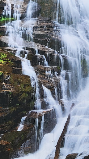 Science Museum «Museum of Life and Science», reviews and photos, 433 W Murray Ave, Durham, NC 27704, USA