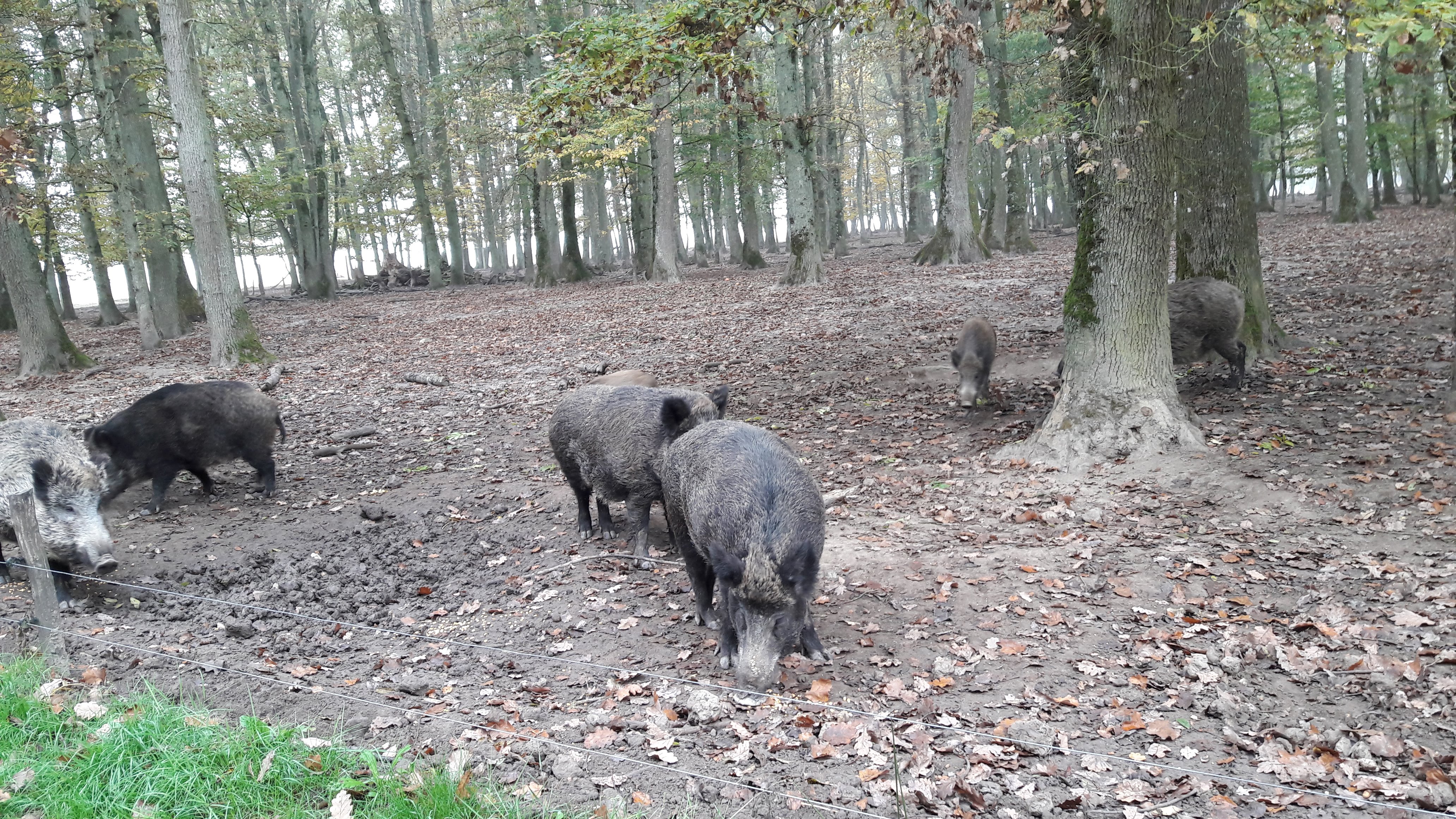 Photo n° 4 de l'avis de Olivier.a fait le 30/10/2016 à 20:01