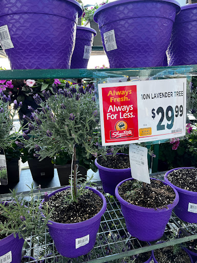 Home Improvement Store «The Home Depot», reviews and photos, 281 NJ-10 #04, Succasunna, NJ 07876, USA