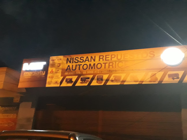 NISSAN REPUESTOS AUTOMOTRICES