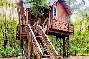 Treehouse Cabin Retreat - Florida image