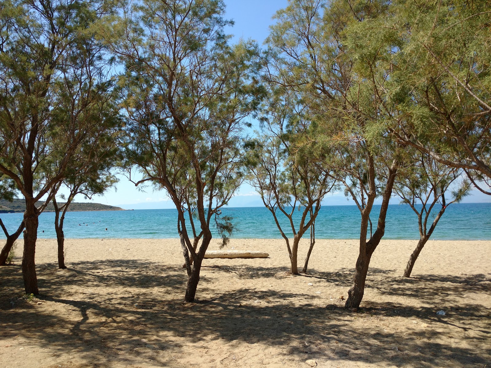 Foto de Bozas beach - lugar popular entre os apreciadores de relaxamento