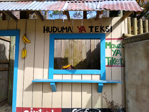 Zoo «ZooWorld Zoological and Botanical Conservatory», reviews and photos, 9008 Front Beach Rd, Panama City Beach, FL 32407, USA