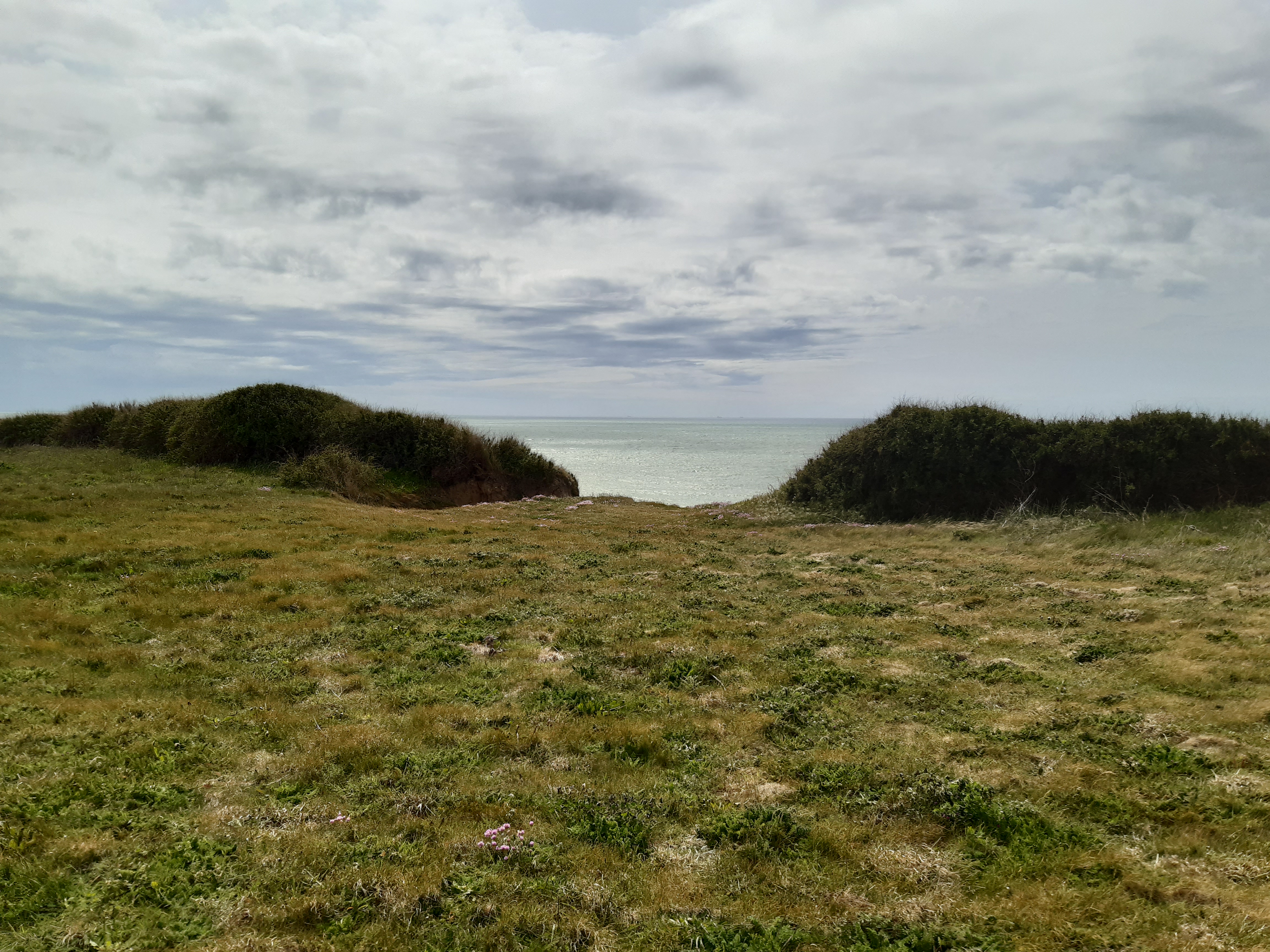 Photo n° 5 de l'avis de Frédérique.o fait le 28/05/2021 à 18:11