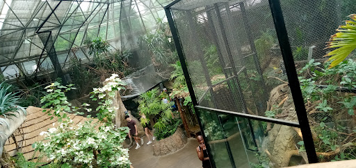 Zoo «Farm In The Zoo», reviews and photos, 1911 N Stockton Dr, Chicago, IL 60614, USA