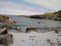 Praia de Area Grande'in fotoğrafı imkanlar alanı