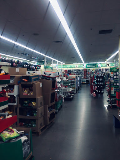 Dollar Store «Dollar Tree», reviews and photos, 4455 E McKellips Rd #101, Mesa, AZ 85215, USA