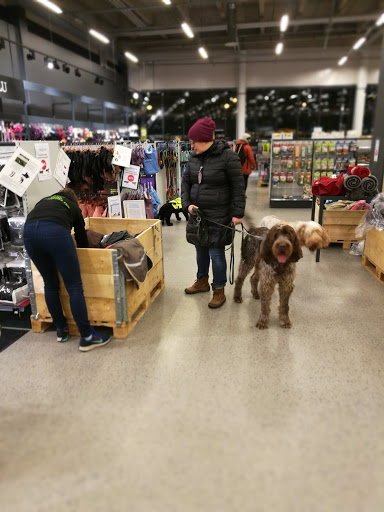 Kaupat ostaa koiria Helsinki