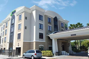 Holiday Inn Express & Suites Tampa -Usf-Busch Gardens, an IHG Hotel image