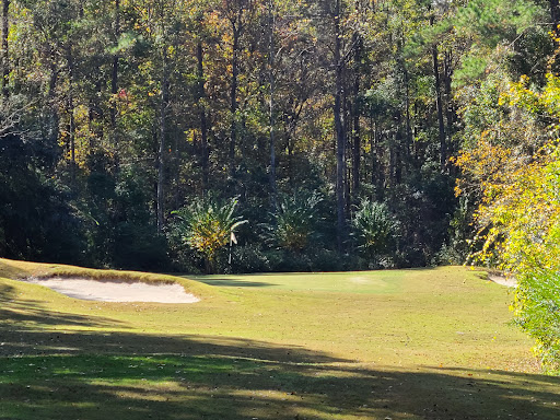 Golf Course «Witch Golf Links», reviews and photos, 1900 SC-544, Conway, SC 29526, USA