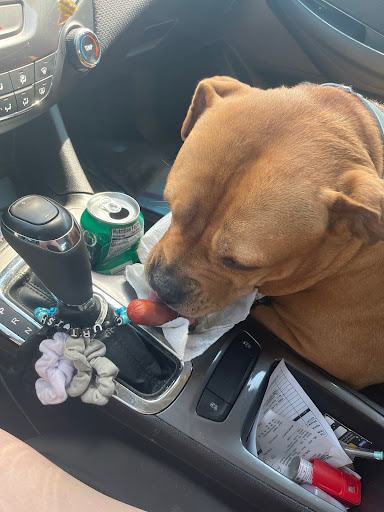 Pawn Shop «Quick Cash Pawn of Winston- Salem», reviews and photos, 700 Peters Creek Pkwy, Winston-Salem, NC 27103, USA