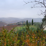 Photo n°4 de l'avis de Jasmine.o fait le 05/12/2021 à 14:42 sur le  La Cantinetta Di Rignana à Greve in Chianti