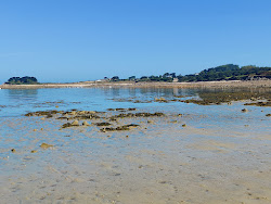 Plage de Terenez'in fotoğrafı imkanlar alanı