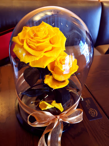 Coffee Shop «Starbucks», reviews and photos, 1508 N Westshore Blvd, Tampa, FL 33607, USA