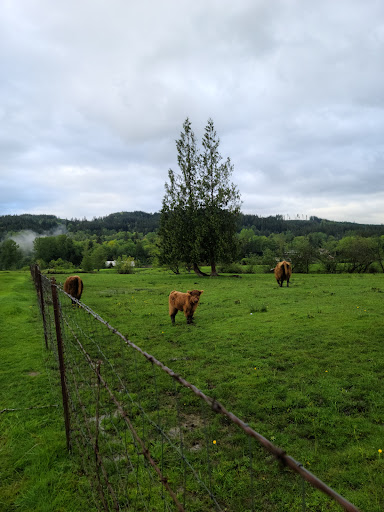 Golf Club «Snoqualmie Falls Golf Course», reviews and photos, 35109 SE Fish Hatchery Rd, Fall City, WA 98024, USA