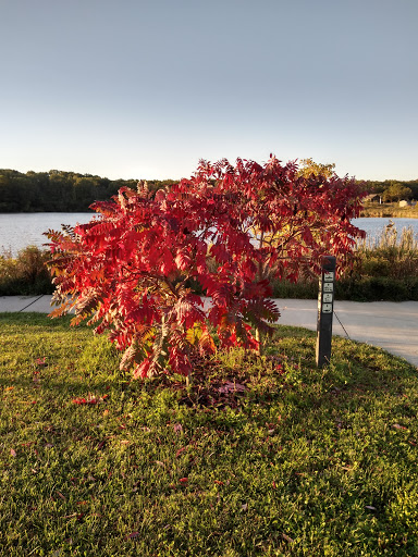 Nature Preserve «Bullfrog Lake», reviews and photos, 9600 Wolf Rd, Willow Springs, IL 60480, USA