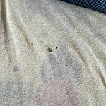 Photo n°1 de l'avis de Elizabeth.e fait le 18/07/2022 à 12:43 sur le  Hotel Und Landgasthof Altwirt à Holzkirchen