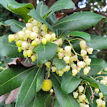 Photo n°1 de l'avis de Mark.m fait le 22/10/2022 à 11:14 sur le  Culture Hotel Villa Capodimonte à Naples