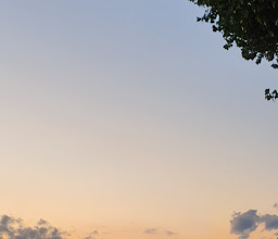 Alltours Kino photo