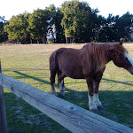 Photo n°1 de l'avis de Pedro.a fait le 01/11/2020 à 21:37 sur le  Hotel Rural Madre de Água à Gouveia