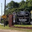 Selma City Treasurer