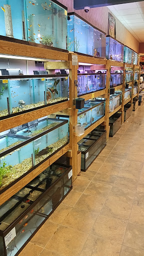Pet Supply Store «Living Things», reviews and photos, 3437 PA-309, Orefield, PA 18069, USA
