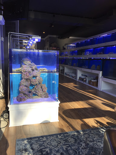 Gills Aquarium Store image 4