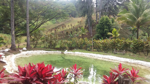 Paraiso Cabañas 4x4 Cerro Azul Panama