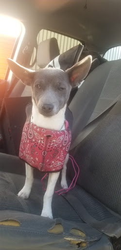 Self-Storage Facility «AAA Platte Self Storage», reviews and photos, 4510 Edison Ave #100, Colorado Springs, CO 80915, USA