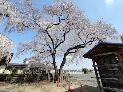 観音寺